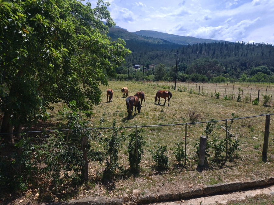 0 Bedroom Property for Sale in Suurbraak Western Cape